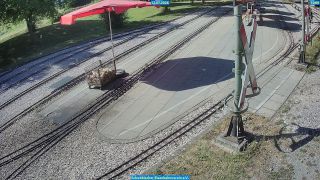 Vorschaubild